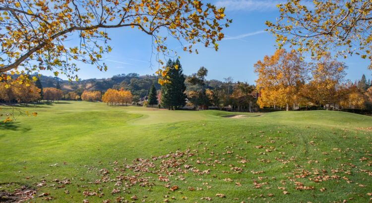 Photo naaldplatenspeler